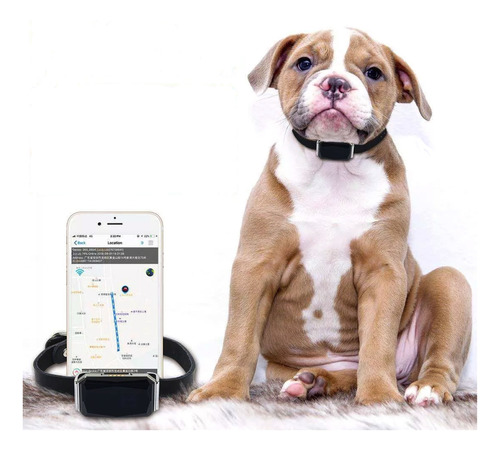 Collar Gps Mini Rastreador Tracker Localizador Mascotas