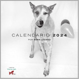 Calendario 2024 A Beneficio De Fundación Viva La Vida