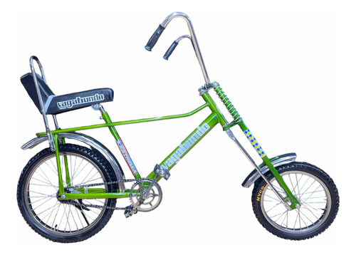 Bicicleta Vagabundo Clásica Verde R20-16