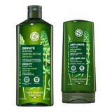 Kit Tratamiento Anticaida Shampoo Acondicionador Yves Rocher