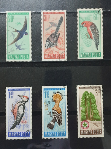 Estampillas De Hungría Tema Pájaros 6 Sellos Usados Año 1966
