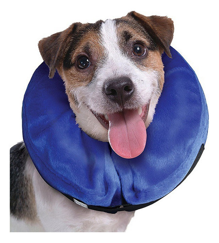 Collar Isabelino Inflable Protector Perros Y Gatos Talla Xl