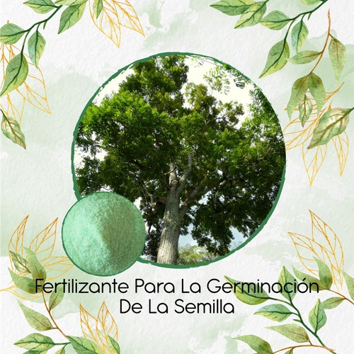 Fertilizante Para La Germinación De Cedro Rosado