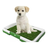 Puppy Potty  Pad. Baño Para Mascota Cachorro 