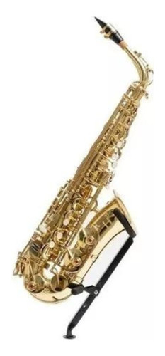 Saxo Alto Parquer Custom Estudio Estuche Envio Gratis Oferta