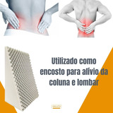 Suave Encosto Massageador Amamentador 45 X 65 X 30cm + Capa