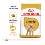 Royal Canin Caniche Poodle Adulto X 3 Kg - Drovenort -