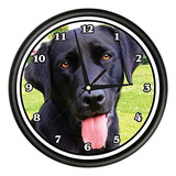 Signmission Negro Labrador Reloj De Pared Perro Perrito Masc