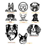Retratos Mascotas Personalizados Metalicos