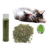 Catnip Erva Do Gato Brinquedo Relaxante Calmante Pet Gato 5g