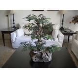 Árboles Artificiales Bonsai Arbol Bonsais 70cm  Artificial