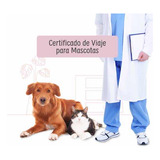 Certificado De Viaje Para Mascotas Somos Veterinarios