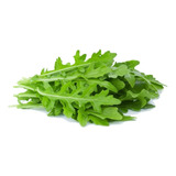 500 Semillas Arugula Rucula Var.wild Rocket Nuevas Fertiles 