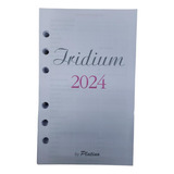 Repuesto De Agenda Platino Iridium 2023 Diario 10x16,5 Cm