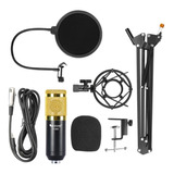 Fifine F800-35 Kit Microfono Brazo Articulado Filtro Araña 
