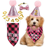 Pet Birthday Party Set Collar/sombrero/pull Flag Number Set