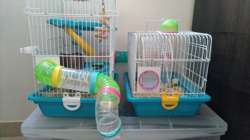 Alojamento Completo Hamster (2 Gaiolas + Caixa Organizadora)