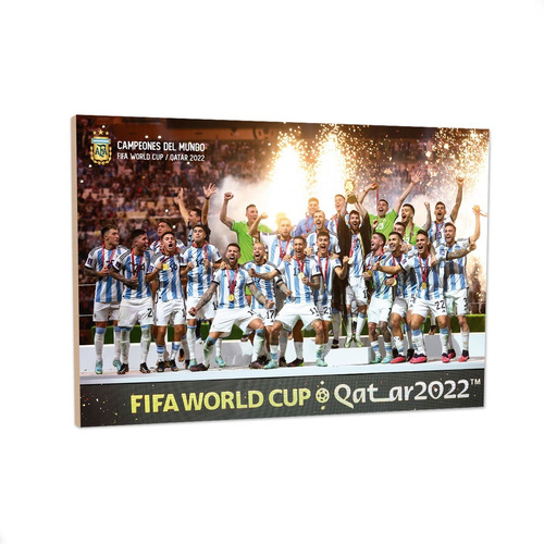 Cuadro Argentina Campeon Mundial Festejo Messi Copa 33x48cm