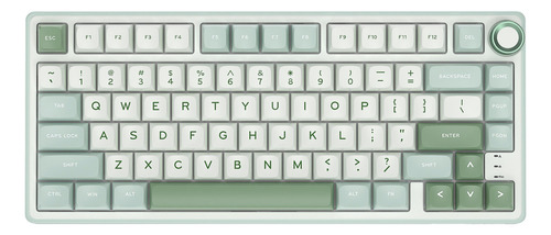 Teclado Mecánico Español Rk Royal Kludge Rkr75 Skycyan ,