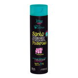 Shampoo Santo Black Novex Rizos Perfecto Hidrata/billo/nutre