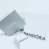 Pandora Estuches Kit