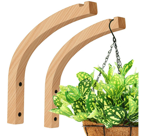 Colgador De Plantas  Macetas De Pared Plantas De Interi...