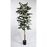 Arbol Ficus Plantas Artificiales . Regalosdeco