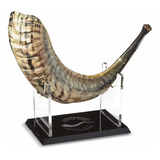 Shofar Zion Kosher Sin Olor Natural Shofar | Cuerno De Carne