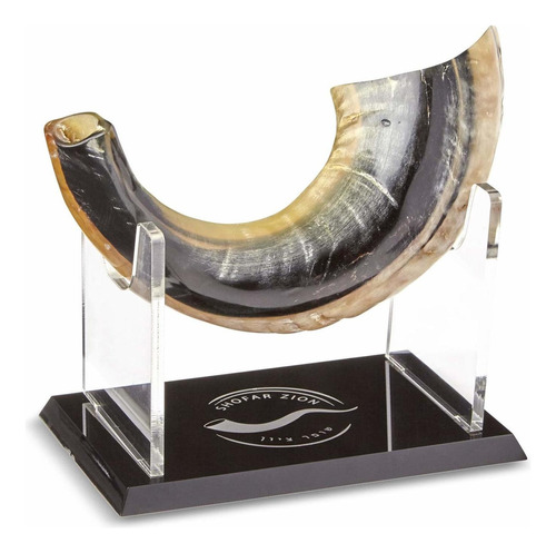 Shofar Zion Kosher Shofar Natural | Cuerno De Carneros Ge