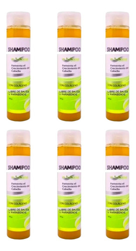 6 Pzs. Shampoo Colágeno In Bellezza  + 3 Activos