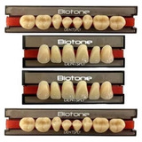 Dente Biotone Boca Completa 4 Placas - Dentsply