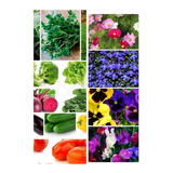 Set X 60 Semillas Huerta Verduras Flores Aromáticas Combo