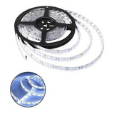 Rollo De Led 5050 (300 Led) 5 Metros - Blanco 24v - Lux Led