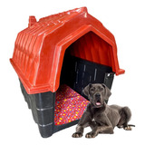 Casa Casinha Plastica Cachorro Cães Numero 8