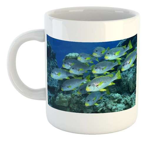 Taza Ceramica Pez Cardumen Peces Plateados Oceano