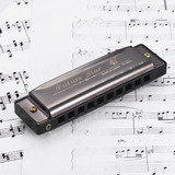 Harmonica Reeds Kid Black Professional 10 Design Surface