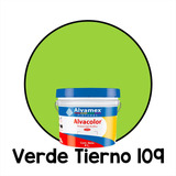 Pintura Vinilica Mate 4 Litros Alvacolor 4 Años Galón Int/ex Color Verde Tierno