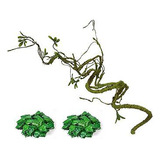 Reptile Vine Green Jungle Climber Vines Flexible Climbin Ssb