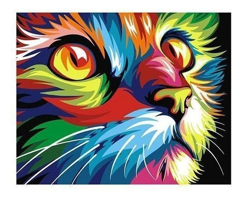 Pintura Por Números Gato Color Kit + Lienzo Pinta Tu Cuadro