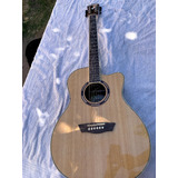 Guitarra Washburn Ag70ce-a