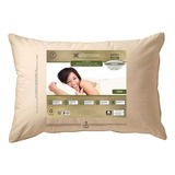 Almohadas Jumbo 50x71cm Orgánicas 100% Algodón 2 Pzas