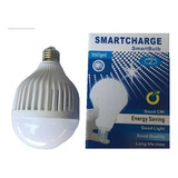 Lampara Led De Emergencia Autonoma 15w Blanca Fria Smart Led