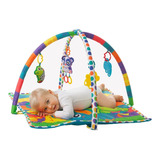 Gimnasio Bebe Para Estimulacion Playgro