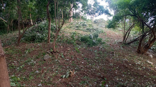 Lote Santa Marta Cerca Al Parque Nacional Tayrona - Imagen 3