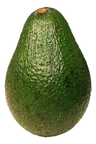 Palta Palto Hass Árbol Frutal Injertado