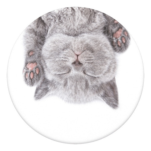 Popsockets Originales - Cat Nap