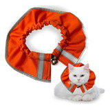 Collar Para Gato Prey Saver, Collar Para Gatito De Colores B