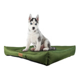 Cama Mascota Lucky 75x59x14 Cm M