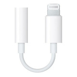 Adaptador De Audio 3.5mm Auxiliar Para iPhone iPad Jack