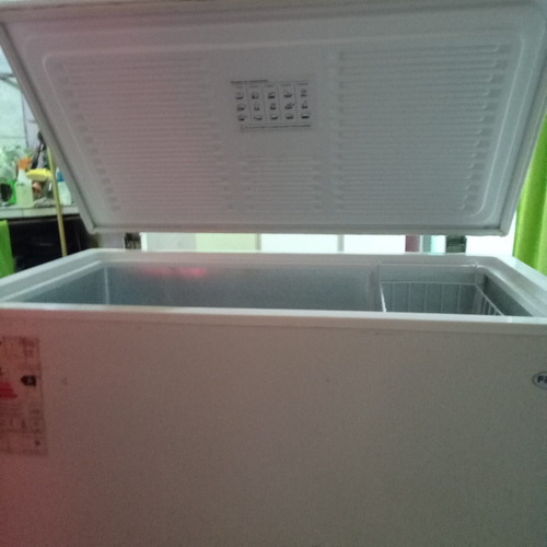 Freezer Frare F170 